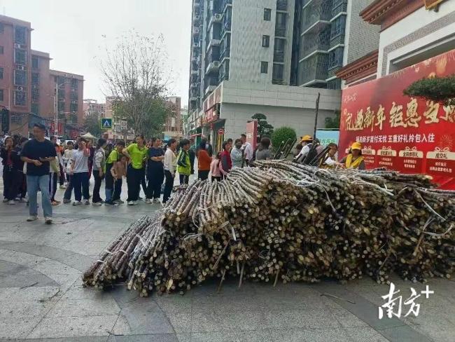 广东清远爱心企业单位驰援英德蔗农