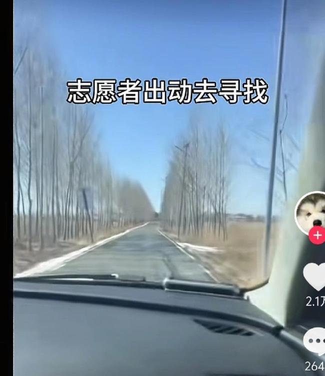 还原“7只小狗结伴逃亡”始末 17公里的生死之旅