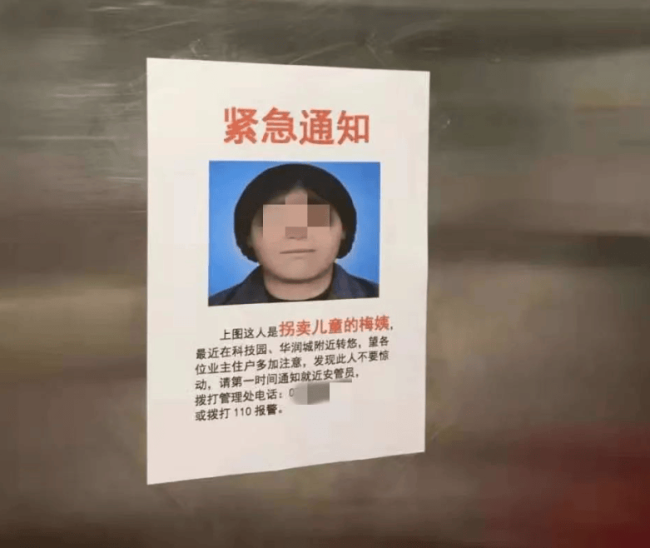 人民日报评梅姨落网：必遭严惩 正义虽迟但到