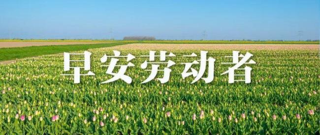 帮助梅姨案家属的记者去世