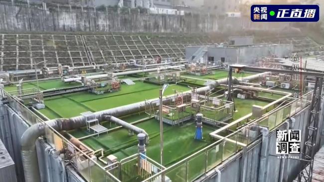 垃圾山之变 一场不扰民的城市生态“超级手术”