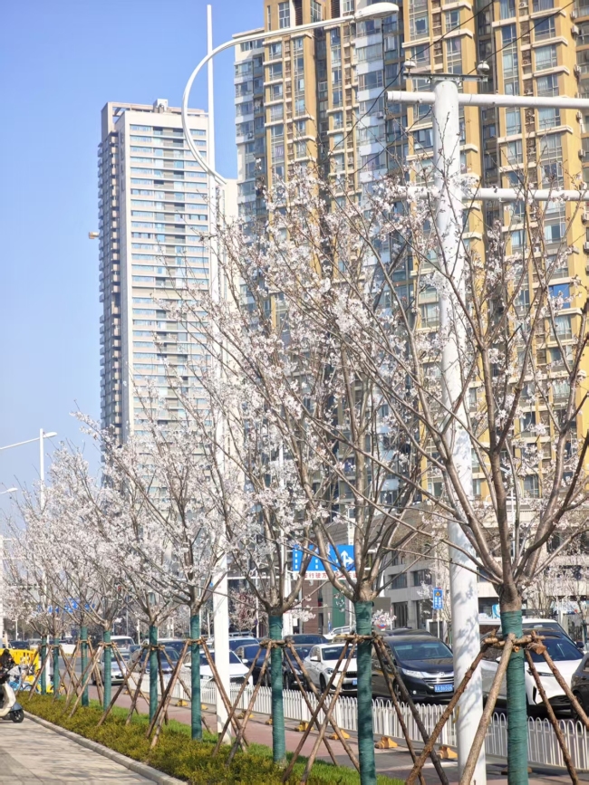 武汉欢乐谷簪花团队为汉马选手加油 春花盛宴助力奔跑