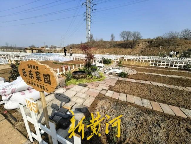 濟(jì)南這片“共享菜園”為啥這么火？記者實(shí)地探訪