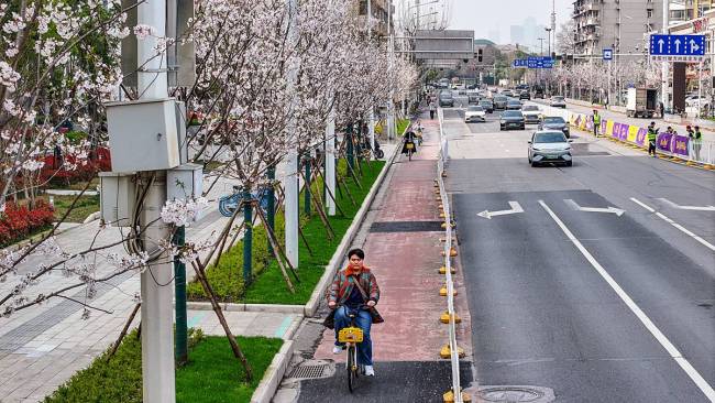 武汉马拉松下起樱花雨 春日盛景迎跑友