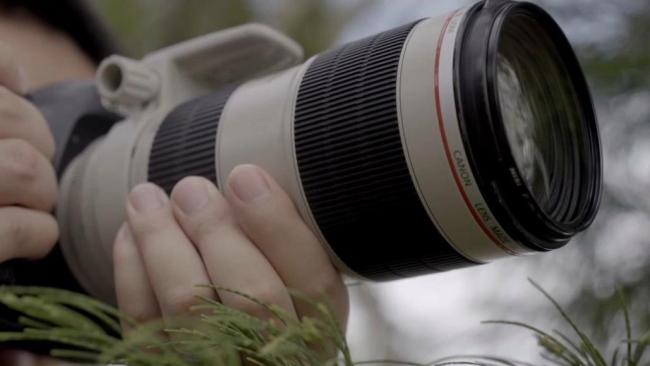 当心“私人定制”间谍陷阱