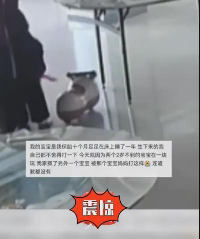 警方介入女子追打2岁宝宝 玩具争执引发暴力事件