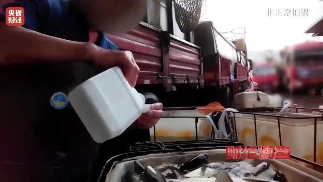 活鱼违规“麻醉”乱象频发