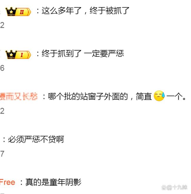 梅姨被逮捕是一个标志性法治事件 正义终将到来