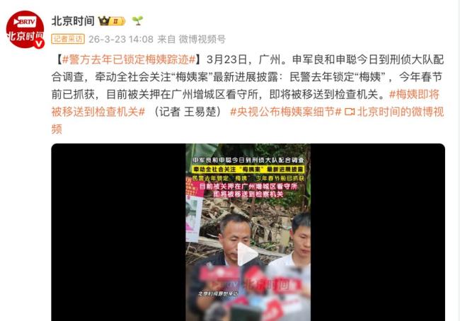 梅姨案未过20年追诉时效 涉嫌拐卖多名儿童