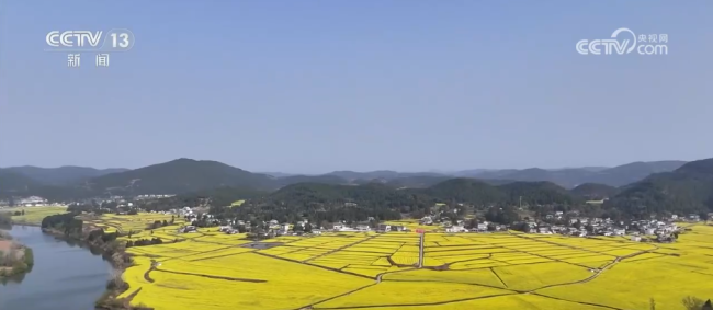 多彩活动点燃春日文旅消费热情