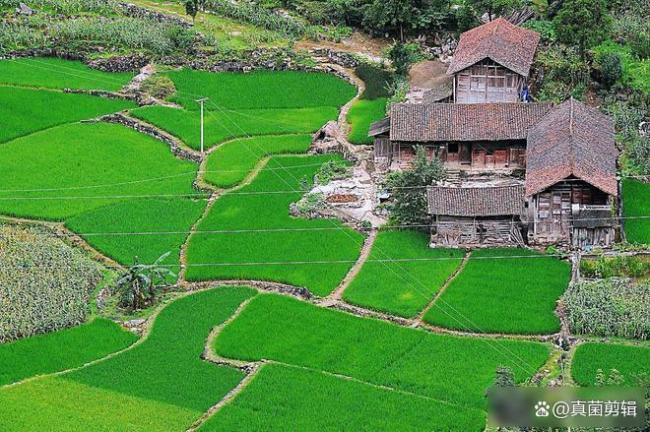 梅姨真实身份曝光 技术回溯锁定嫌疑人