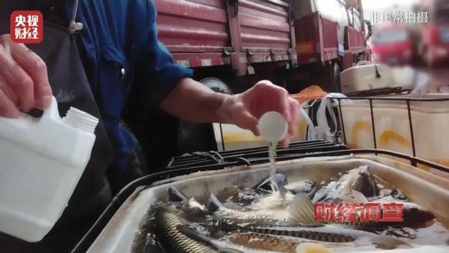 央视曝活鱼被人为麻醉乱象 三无麻药隐患重重