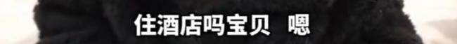 男童被妈妈丢酒店半月 多部门已介入 孩子心声令人心碎
