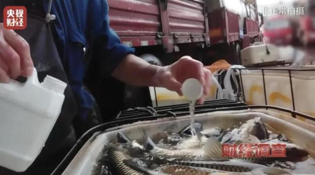 毒火腿醉活鱼食品安全容不得半点恶 严惩黑心商家