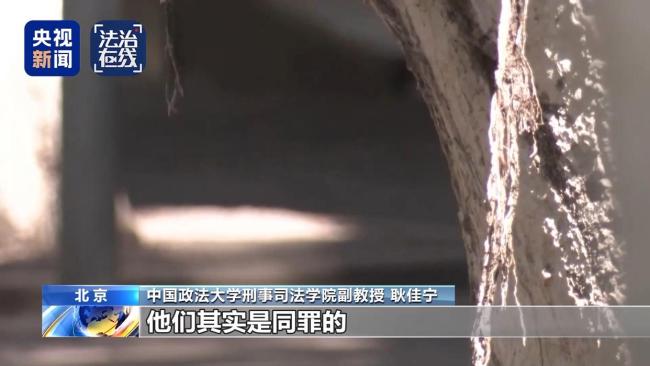 法律专家谈“梅姨”下场 或面临重刑判决