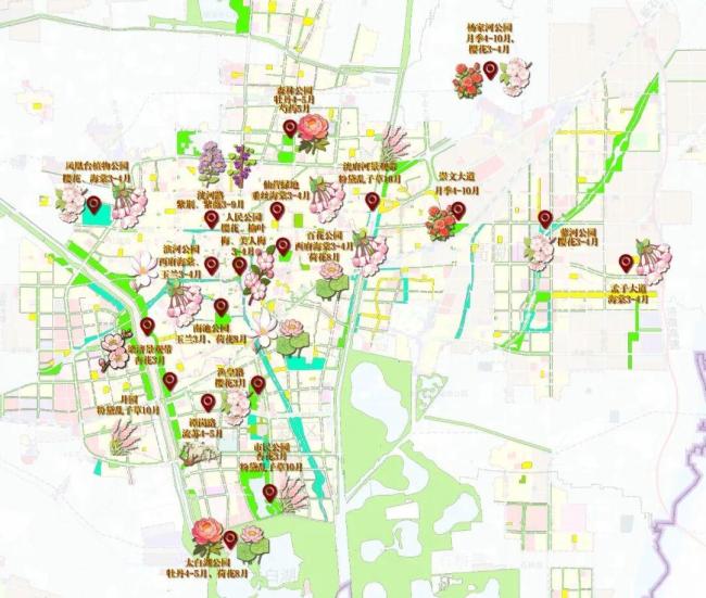山东济宁发布赏花地图 春光灿烂踏青时