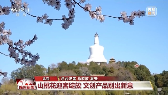 从田间到花海 科技春耕与春日经济共绘希望田野