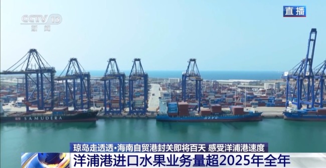 成本降低 洋浦港封关近百天有哪些变化