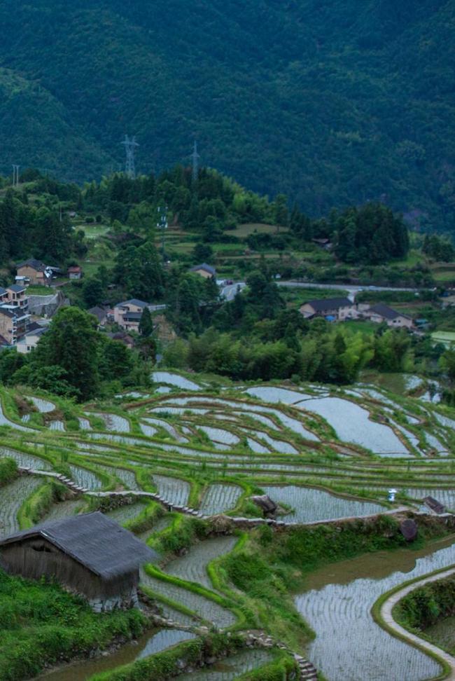 人不多风景美 清明假期去这7座小城 探索春日宝藏目的地