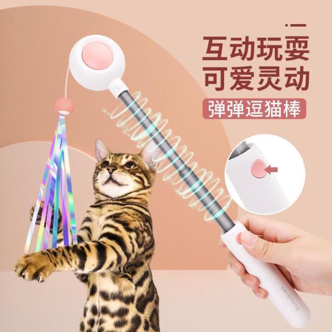 小猫第一次见这么大的逗猫棒 租房族互动新选择