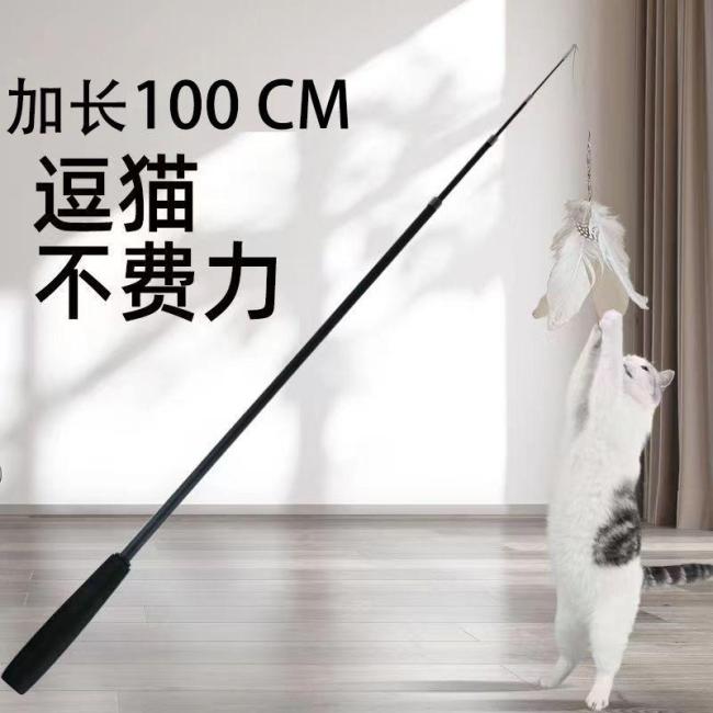 小猫第一次见这么大的逗猫棒 租房族互动新选择