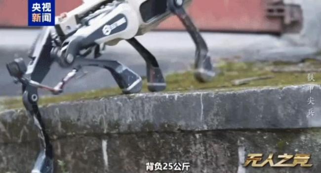 中国机器狼群巷战画面公开 硬核实力展示