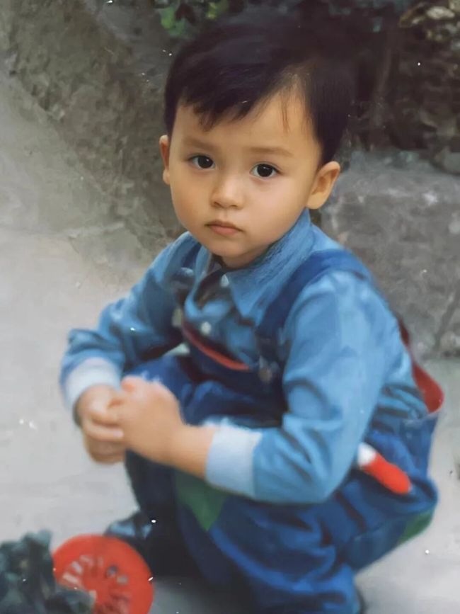 上海妈妈寻亲27年 悬赏市区一套房 寻子路上的坚定承诺