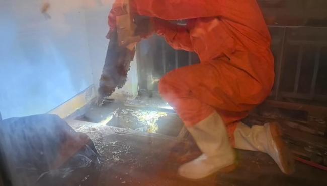 女子被蜜蜂骚扰两年求助消防 不堪其扰终报警