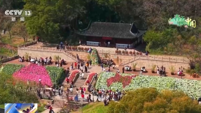 梯田美景-各地花海美景激活春日經(jīng)濟