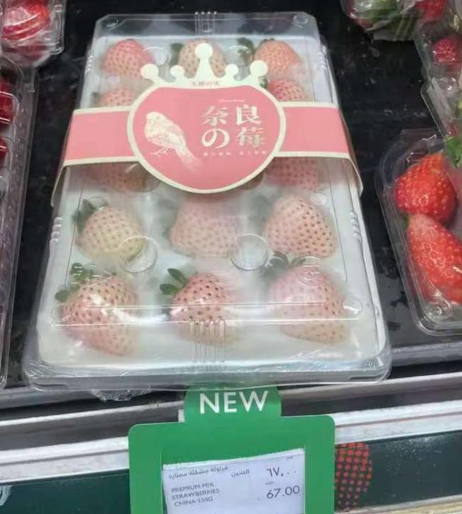山东女孩种草莓在迪拜卖268一斤