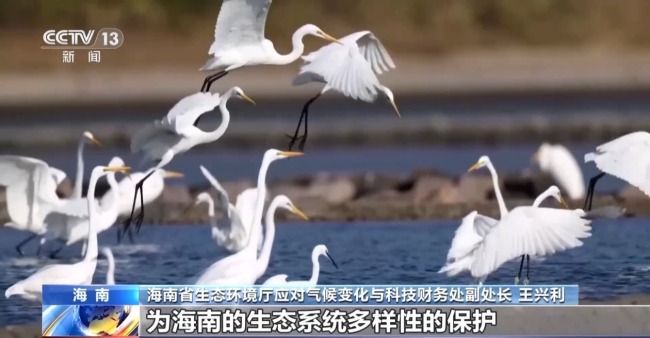 雨林探“花园” 来感受海南的“绿色脉搏”