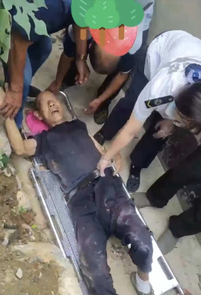 老人骨盆骨折护士直接提腰带搬运 不当救治引争议