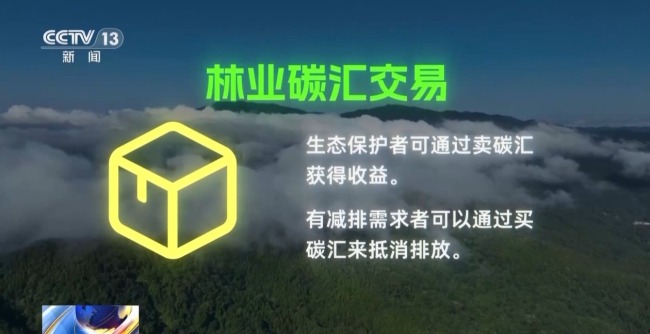 雨林探“花园” 来感受海南的“绿色脉搏”