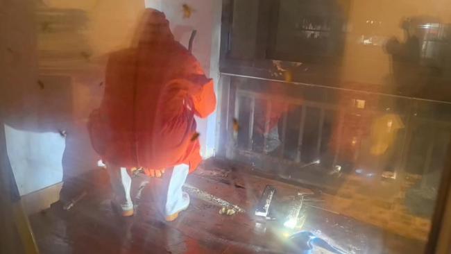 女子求助消防摘除蜂巢