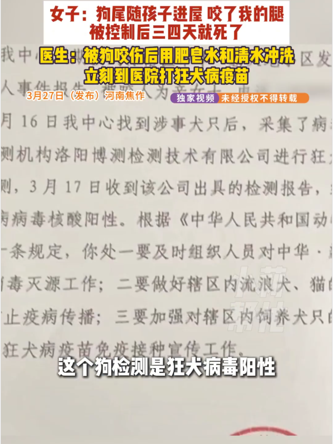 女子被流浪狗咬伤3天后狗死了 狂犬病阳性引担忧