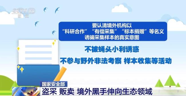 盗采 贩卖！境外黑手伸向生态领域 威胁国家生态安全根基