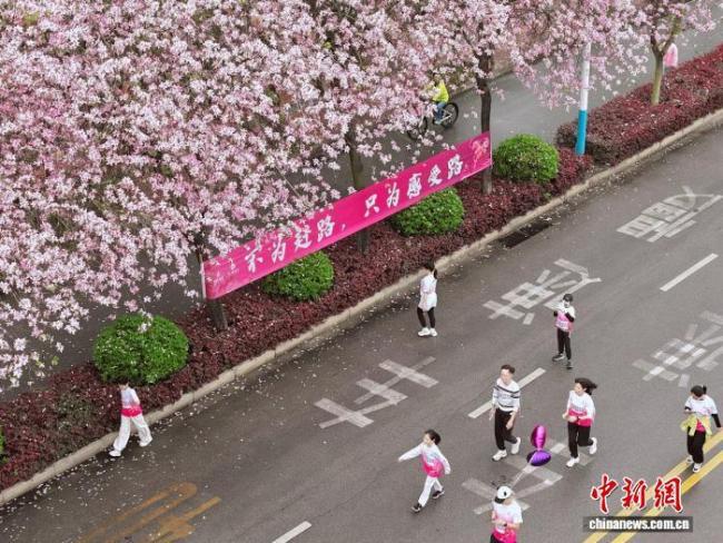 柳州全民跑开跑 紫荆花海迎跑者