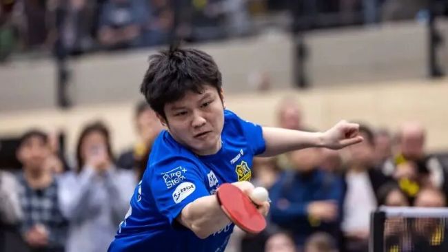 樊振东去杜塞不只是一次转会