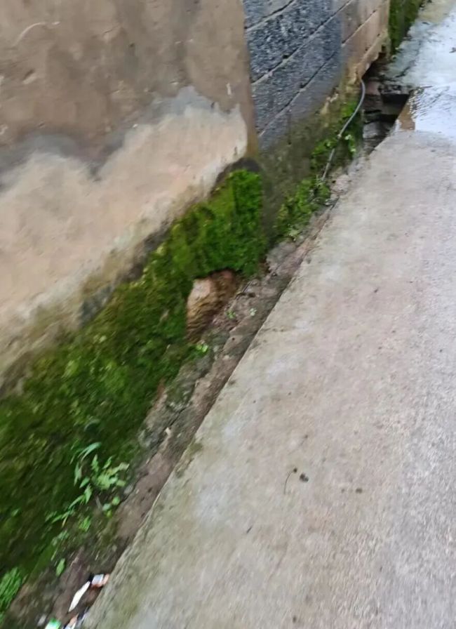 14岁男生杀害15岁女同学案将开庭，女生父亲：他曾去行凶地附近一老人家里讨水喝 案件细节曝光