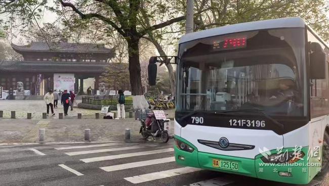 武汉堤角公园千株樱花齐绽放