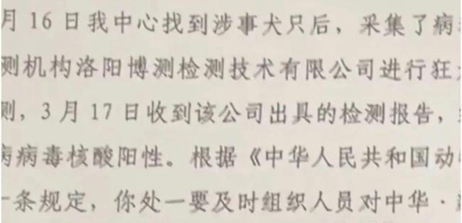 在家遭带狂犬病流浪狗咬伤女子发声 家门未关严致悲剧
