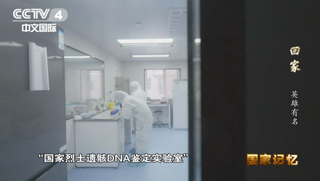 《回家》呈现志愿军烈士遗骸归国历程 全景展现英雄回家路