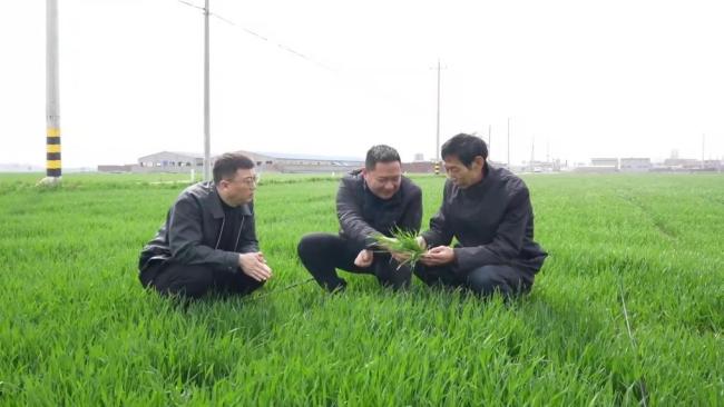 春耕一线扫描:精准施策 向新提质