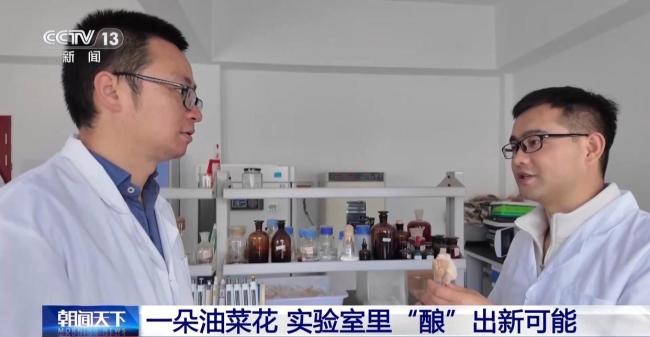 油菜花酸奶卖爆了 春耕合伙人的创新故事