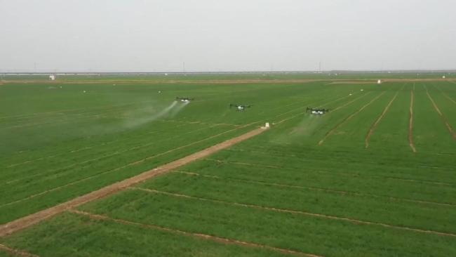 春耕一线扫描：精准施策 向新提质