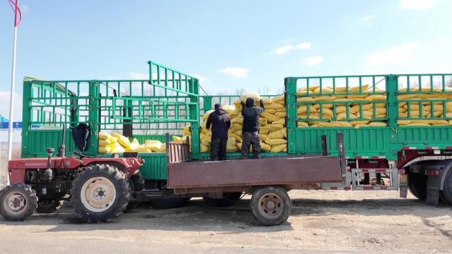 春耕一线扫描:精准施策 向新提质