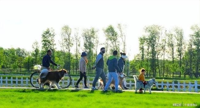 未来5年一路通达皆是民生期盼 八大工程助力美好生活