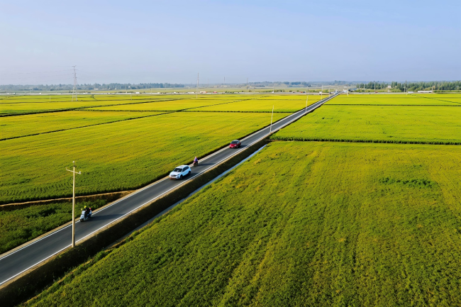 大漠明珠放异彩——新疆维吾尔自治区和田县高质量发展纪实