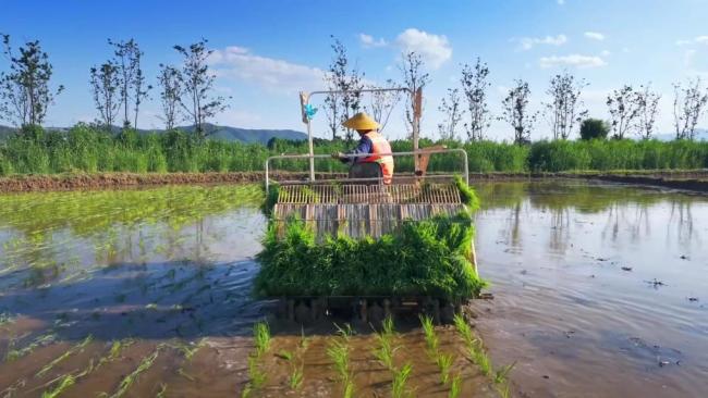 春耕一线扫描:精准施策 向新提质