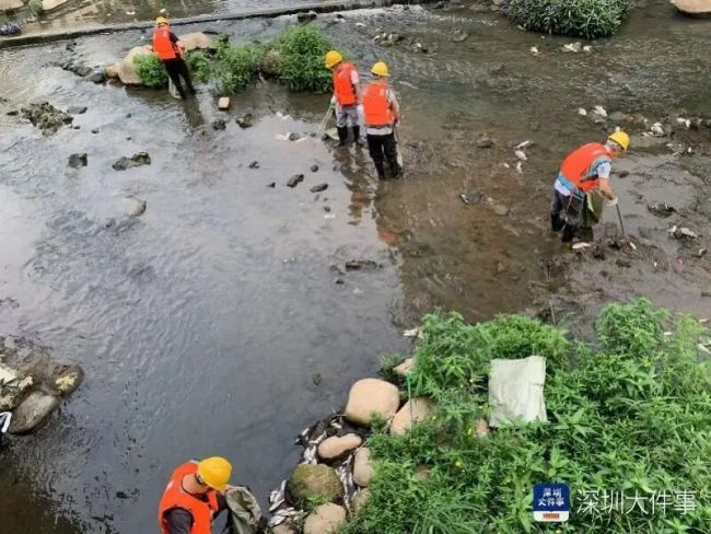水务局称漂浮大量死鱼河道水质达标 市民担忧水质问题